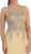 Dancing Queen Sheer Cap Sleeves Gold Tone Lace Applique Gown - 1 Pc. Nude in size Medium Available