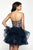 Blush Couture - C1103 Two-Piece Strapless Tiered Tulle Dress