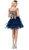 Dancing Queen - 3000 Gold Lace Overlay and Tulle A Line Cocktail Dress In Blue