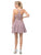 Dancing Queen - 3044 Lace Embroidered V-neck A-line Dress In Brown