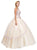 Bejeweled Lace Illusion Halter Evening Gown