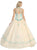 Bejeweled Lace Illusion Halter Evening Gown
