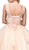 Bejeweled Lace Illusion Bateau Evening Gown