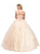 Bejeweled Lace Illusion Bateau Evening Gown