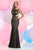 Zoey Grey - Lace Illusion Striped Trumpet Gown 30838 in Black and Neutral