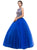 Eureka Fashion - 3088 Applique Jewel Neck Mesh Ballgown in Blue and Gold