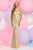 Zoey Grey - Beaded Illusion Scoop Neck Tulle Dress 30920 in Neutral