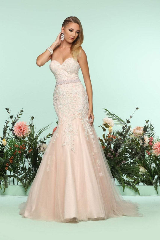 Zoey Grey - 31181 Strapless Appliqued Trumpet  Gown In Pink and White