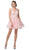 Dancing Queen - 3150 Appliqued Lace Bodice Tulle Dress In Pink