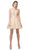 Dancing Queen - 3150 Appliqued Lace Bodice Tulle Dress In Neutral