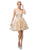 Dancing Queen - 3152 Embroidered Deep V-neck A-line Dress In Gold