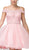 Dancing Queen - 3167 Appliqued Illusion Bodice Tulle Dress In Pink