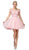 Dancing Queen - 3167 Appliqued Illusion Bodice Tulle Dress In Pink