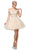 Dancing Queen - 3167 Appliqued Illusion Bodice Tulle Dress In Neutral