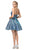 Dancing Queen - 3183 Ruched V-Neck A-Line Short Dress In Blue