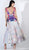 3423 Multi-Colored Tulle Brocade A-line Dress