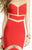 Alyce Paris - Sheer Chevron Cut-Out Illusion Long Jersey Gown 35820 In Red and Neutral