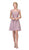 Eureka Fashion - 3633 Lace Appliqued Cap Sleeve Chiffon Dress In Pink