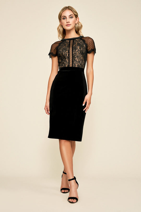 Tadashi Shoji - Lace Embroidered Cocktail Dress In Black and Neutral