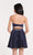 Alyce Paris - 3751 Floral Embroidered Semi-Sweetheart A-line Dress In Blue and Pink