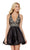 Alyce Paris - 3798 Lace Deep V-neck Mikado A-line Dress in Black and Neutral