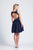 Dave & Johnny - 3885 Illusion Bateau Floral Appliqued Cocktail Dress In Blue