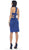 Illusion Halter Sheath Cocktail Dress