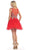 Sleeveless Ornate Lace Illusion Cocktail Dress