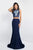11588 Embroidered Jewel Sheath Dress