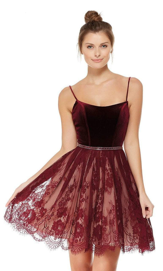 Velvet Bodice Gathered Lace A-Line Dress in Red