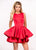Ashley Lauren - 4045 Pleated A-Line Cocktail Dress in Red