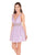 Rachel Allan Homecoming - 4050 Bead Embellished A-Line Dress In Purple