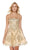 Lace Appliqued Strapless A-Line Dress in Gold