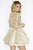 Jolene Collection - 17563 Lace Deep V-neck A-line Dress In Neutral