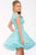 Lace Jewel Illusion Tulle A-Line Cocktail Dress 39522