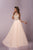 Tiffany Homecoming - Alluring Choker Neck Silky Chiffon A-line Dress 46082 In Pink and Neutral