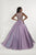 Tiffany Designs - 46169 Embellished V-neck Crystal Organza Ballgown In Purple