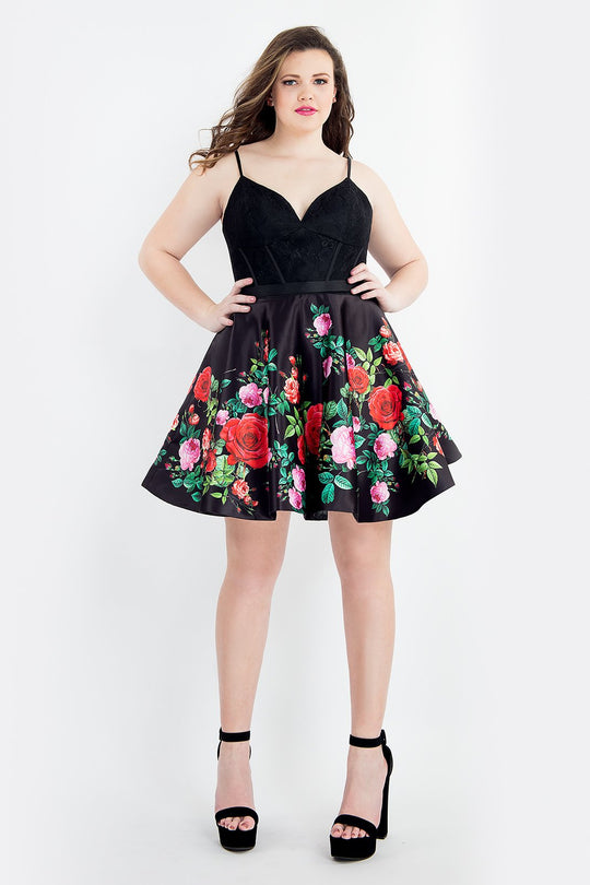 Rachel Allan - 4818 Lace Sweetheart Printed Satin A-line Dress In Black