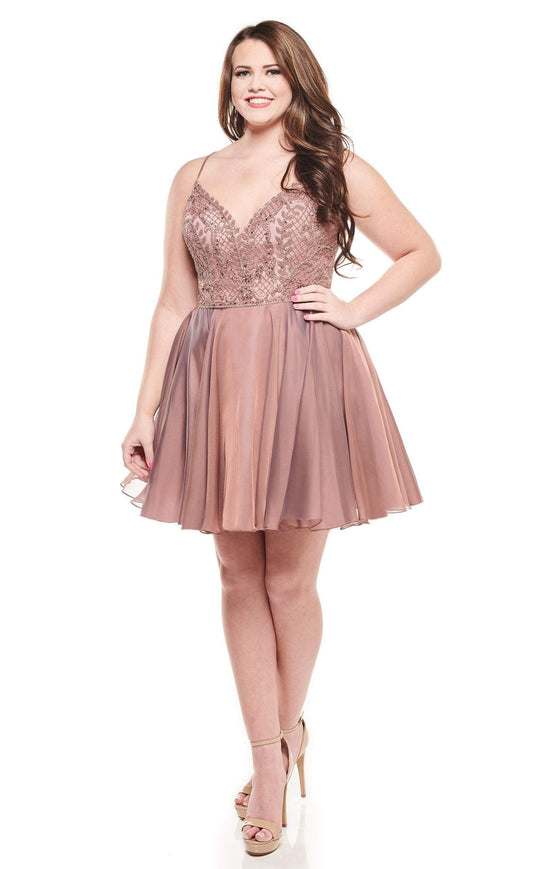 Rachel Allan Curves - 4829 Embroidered V-neck Chiffon A-line Dress In Pink