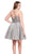 Rachel Allan Curves - 4829 Embroidered V-neck Chiffon A-line Dress In Gray