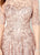Montage by Mon Cheri - 219976W Embroidered Illusion Bateau A-line Gown In Pink