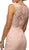 Dancing Queen - 9099 Sheer Lace Appliqued Sheath Homecoming Dress In Pink