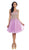 Sleeveless Ornate Lace Illusion Cocktail Dress