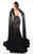 Rachel Allan Primadonna - 5081 Lace Deep V-neck Mermaid Dress In Black and Neutral