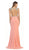 Embellished V-Neck Illusion Cutout Sheath Evening Dress
