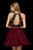 Sherri Hill - 52263 Embroidered Velvet Bodice A Line Short Dress In Red