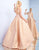 Ieena Duggal - 55230I Two Tone Halter Neck Ballgown in Pink and Gold