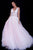 55634 Sheer Floral Appliques V-Neck  Ballgown