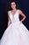 55634 Sheer Floral Appliques V-Neck  Ballgown