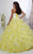 Tiffany Homecoming - 56226 Strapless Floral Appliqued Ballgown In Yellow and White